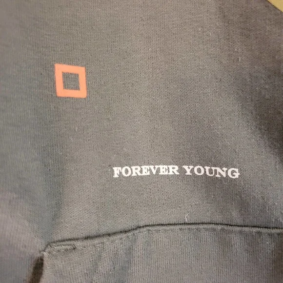 Disney Mickey Mouse Men's Hoodie Forever Young Forever True Green Size Small - Picture 3 of 8